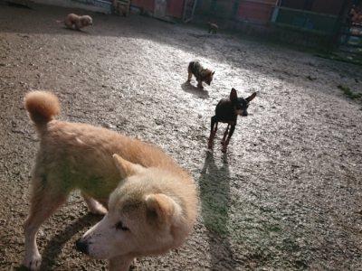f:id:roukenhome-ann:20190111194128j:plain