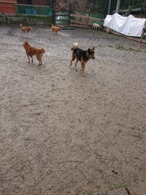 f:id:roukenhome-ann:20190111210457j:plain