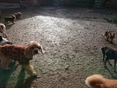 f:id:roukenhome-ann:20190111210528j:plain