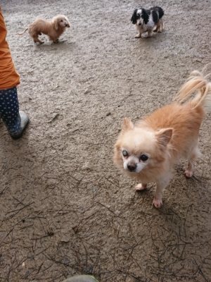f:id:roukenhome-ann:20190111210608j:plain