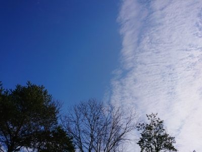 f:id:roukenhome-ann:20190111210708j:plain