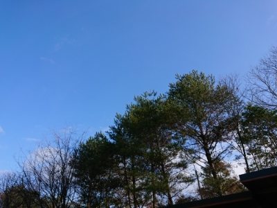 f:id:roukenhome-ann:20190111210714j:plain