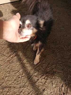 f:id:roukenhome-ann:20190111211314j:plain