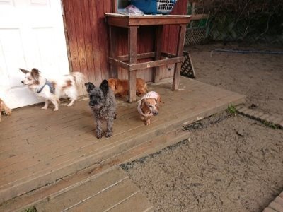 f:id:roukenhome-ann:20190111211320j:plain