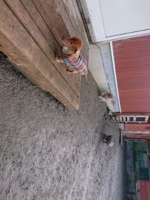 f:id:roukenhome-ann:20190111211329j:plain