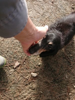 f:id:roukenhome-ann:20190111211339j:plain