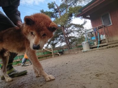 f:id:roukenhome-ann:20190111211345j:plain