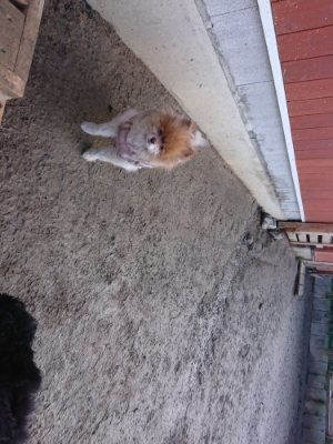 f:id:roukenhome-ann:20190111211446j:plain