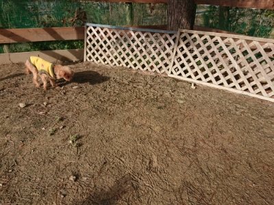 f:id:roukenhome-ann:20190111211656j:plain