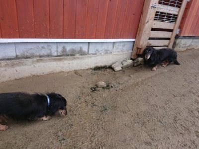 f:id:roukenhome-ann:20190111211700j:plain