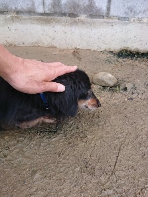 f:id:roukenhome-ann:20190111212015j:plain