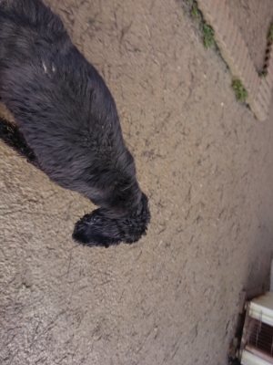 f:id:roukenhome-ann:20190111212114j:plain