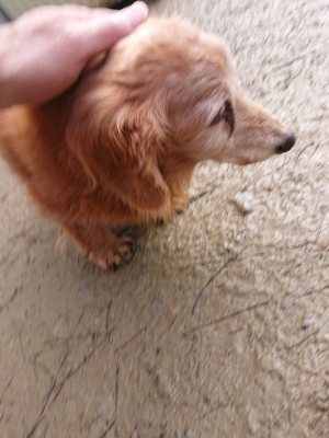 f:id:roukenhome-ann:20190111212234j:plain