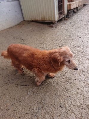 f:id:roukenhome-ann:20190111212302j:plain