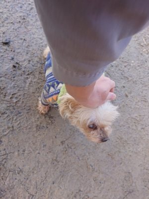 f:id:roukenhome-ann:20190111212658j:plain