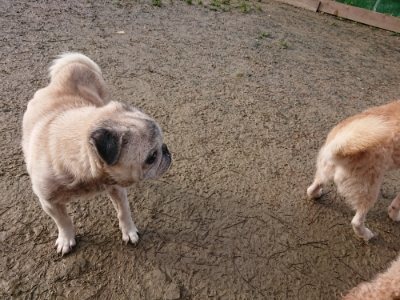 f:id:roukenhome-ann:20190111212708j:plain