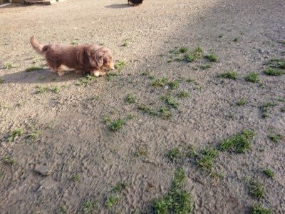 f:id:roukenhome-ann:20190111213114j:plain