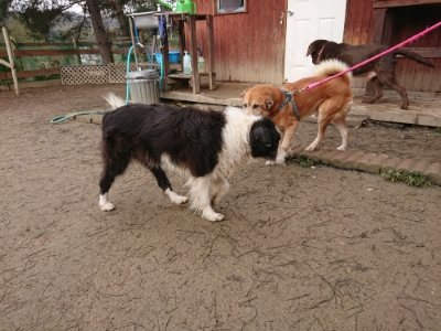 f:id:roukenhome-ann:20190113053303j:plain