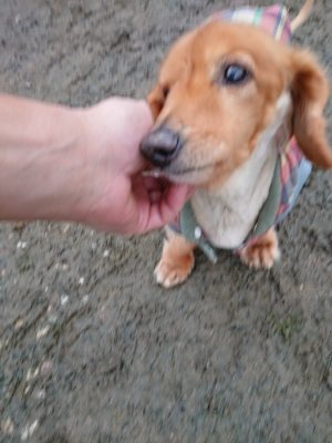 f:id:roukenhome-ann:20190113070551j:plain