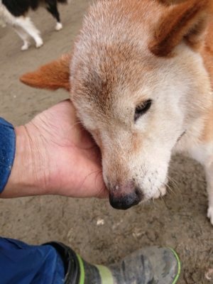 f:id:roukenhome-ann:20190113070609j:plain