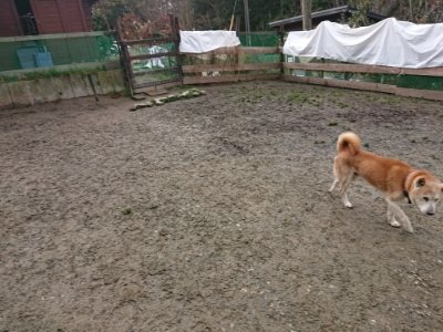 f:id:roukenhome-ann:20190113071216j:plain