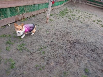 f:id:roukenhome-ann:20190113072351j:plain