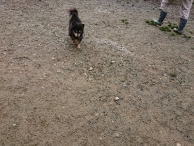 f:id:roukenhome-ann:20190113072400j:plain