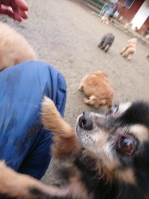 f:id:roukenhome-ann:20190113072455j:plain