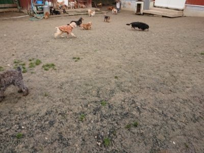 f:id:roukenhome-ann:20190113072528j:plain