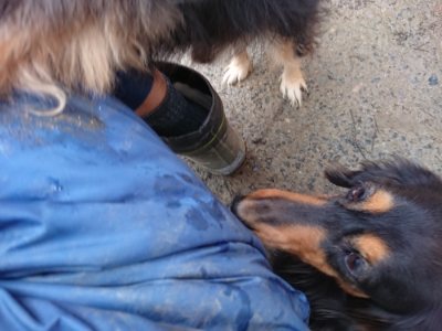 f:id:roukenhome-ann:20190113072539j:plain
