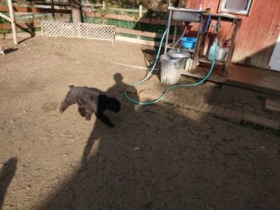 f:id:roukenhome-ann:20190114052821j:plain f:id:roukenhome-ann:20190114052821j:plain