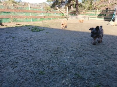 f:id:roukenhome-ann:20190114052839j:plain f:id:roukenhome-ann:20190114052839j:plain