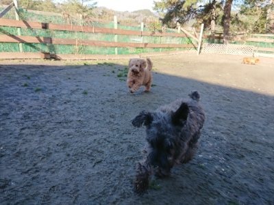 f:id:roukenhome-ann:20190114052843j:plain f:id:roukenhome-ann:20190114052843j:plain