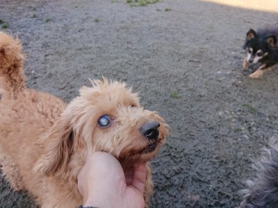 f:id:roukenhome-ann:20190114052913j:plain f:id:roukenhome-ann:20190114052913j:plain