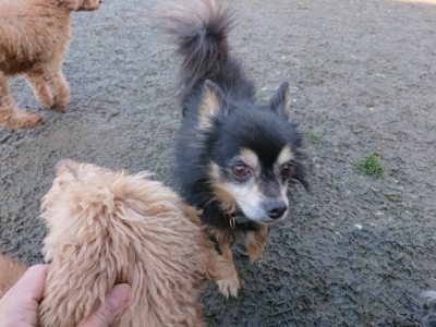 f:id:roukenhome-ann:20190114052935j:plain f:id:roukenhome-ann:20190114052935j:plain