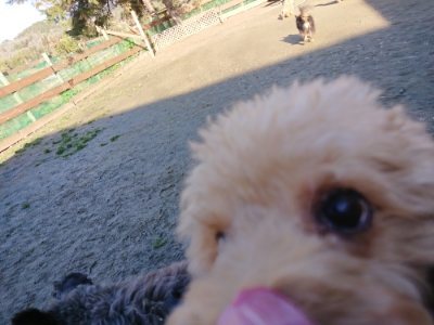 f:id:roukenhome-ann:20190114052945j:plain f:id:roukenhome-ann:20190114052945j:plain