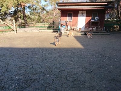 f:id:roukenhome-ann:20190114053009j:plain f:id:roukenhome-ann:20190114053009j:plain