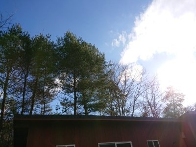f:id:roukenhome-ann:20190114053058j:plain f:id:roukenhome-ann:20190114053058j:plain