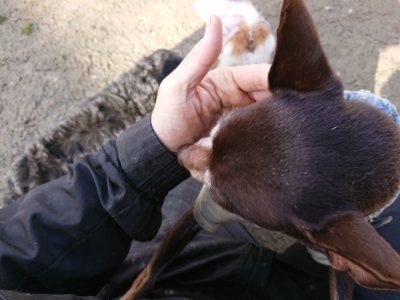 f:id:roukenhome-ann:20190114053121j:plain f:id:roukenhome-ann:20190114053121j:plain