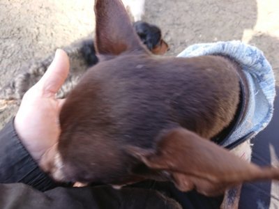f:id:roukenhome-ann:20190114053125j:plain f:id:roukenhome-ann:20190114053125j:plain