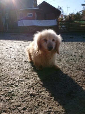 f:id:roukenhome-ann:20190114053130j:plain f:id:roukenhome-ann:20190114053130j:plain