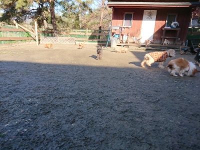 f:id:roukenhome-ann:20190114053228j:plain f:id:roukenhome-ann:20190114053228j:plain