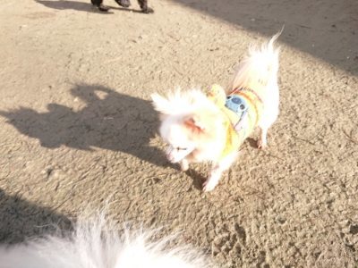 f:id:roukenhome-ann:20190114053241j:plain f:id:roukenhome-ann:20190114053241j:plain