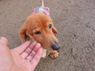 f:id:roukenhome-ann:20190114053301j:plain f:id:roukenhome-ann:20190114053301j:plain