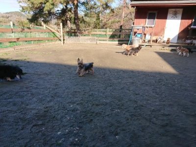 f:id:roukenhome-ann:20190114074501j:plain f:id:roukenhome-ann:20190114074501j:plain