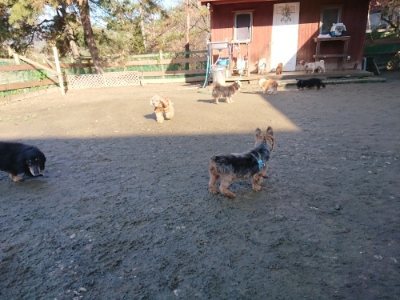 f:id:roukenhome-ann:20190114074506j:plain f:id:roukenhome-ann:20190114074506j:plain
