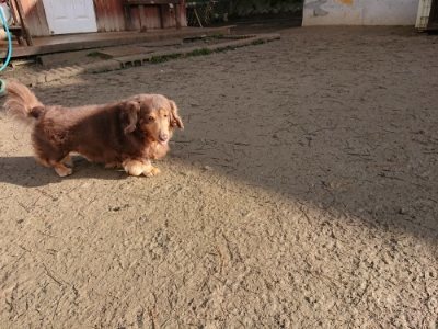f:id:roukenhome-ann:20190114074518j:plain f:id:roukenhome-ann:20190114074518j:plain
