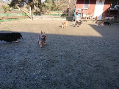 f:id:roukenhome-ann:20190114074524j:plain f:id:roukenhome-ann:20190114074524j:plain