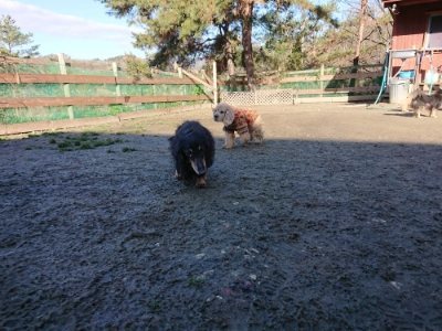 f:id:roukenhome-ann:20190114074530j:plain f:id:roukenhome-ann:20190114074530j:plain
