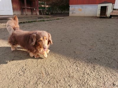 f:id:roukenhome-ann:20190114074535j:plain f:id:roukenhome-ann:20190114074535j:plain